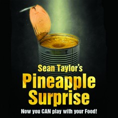 Pineapple Surprise - Sean Taylor